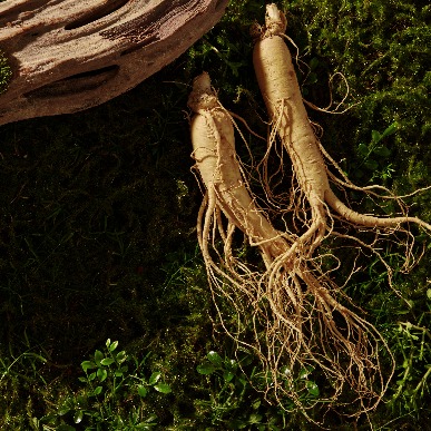 iStock-1530287930