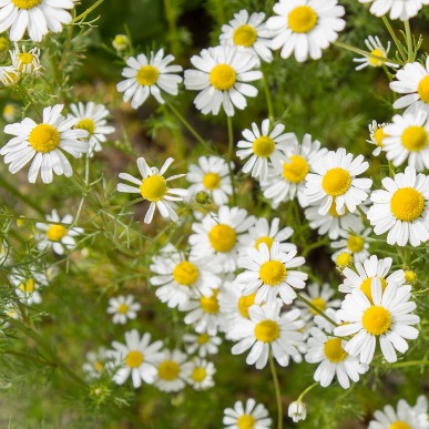 istockphoto-544125236-2048x2048